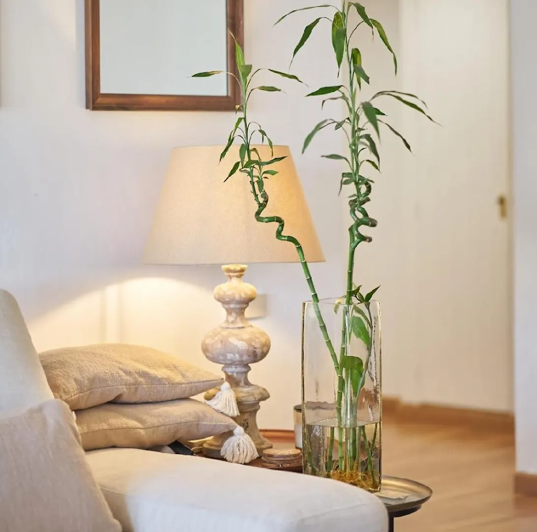 Luxury 3 Bed Flat - Beachfront In Puerto Banus Марбелья Проживание в семье